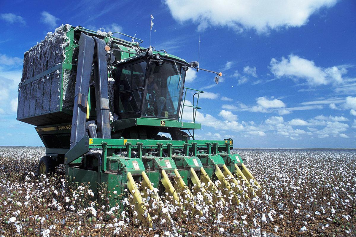 machine à récolter le coton
