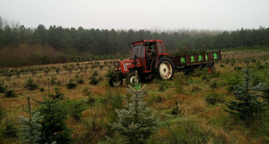 tracteur arboriculture sapin